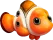 A clownfish